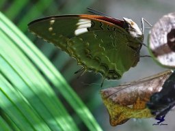 Tiergarten Schönbrunn am 03.10.2025